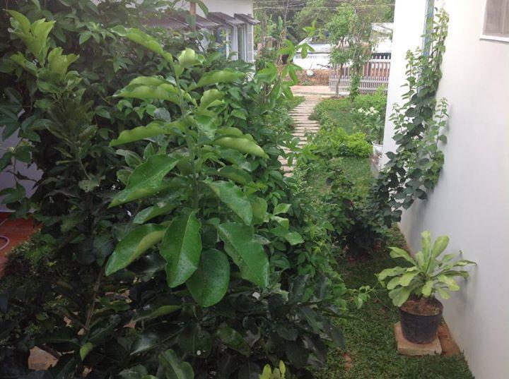 Manh Duyen Garden Homestay Phu Quoc Exteriör bild