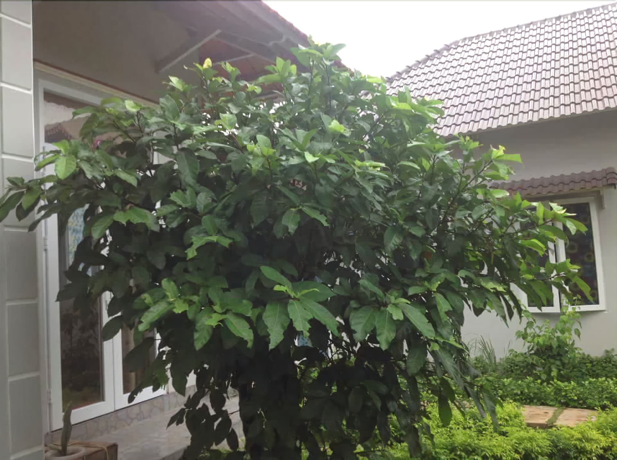 Manh Duyen Garden Homestay Phu Quoc Exteriör bild